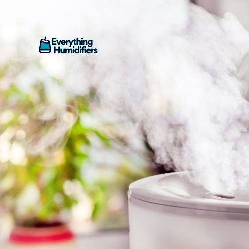 Home Everything Humidifiers