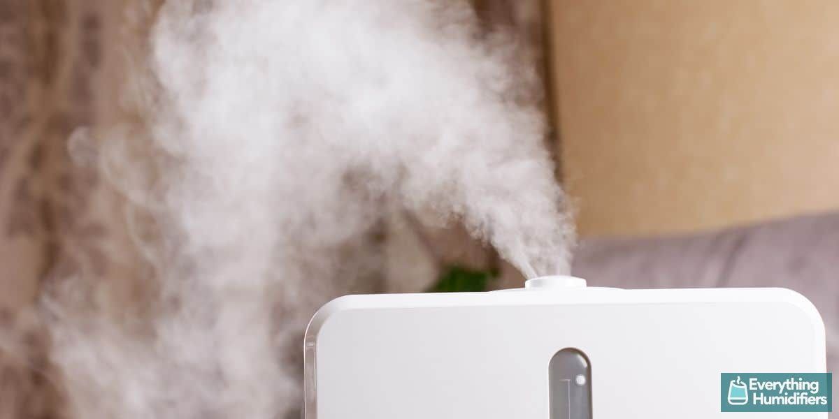 How Humidifiers work, and their uses