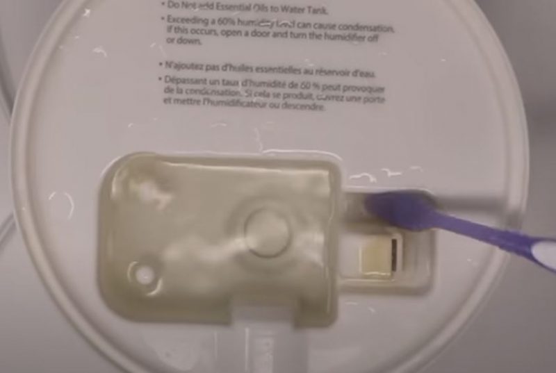Avoid Humidifier Cleaning Mistakes 3 humidifier cleaning brush