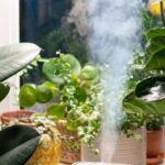 How Humidifiers Work And Their Uses