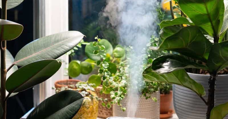 How Humidifiers Work And Their Uses