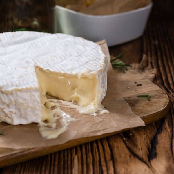 Benefits of Using a Humidifier for Cheesemaking 3 camembert-cheese