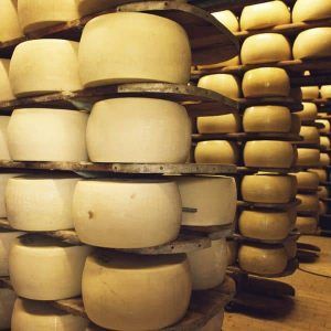 What are the Ideal Humidity Levels for Aging Hard Cheese? 11 Parmesan-Cheese-Aging
