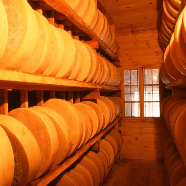What are the Ideal Humidity Levels for Aging Hard Cheese?