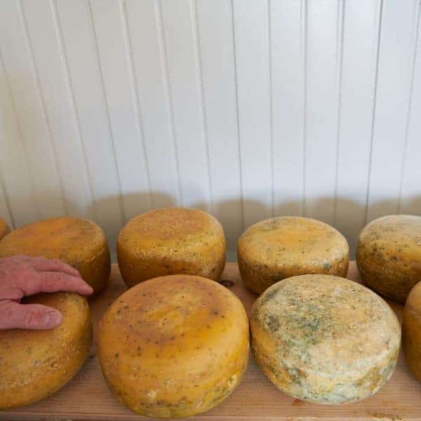Benefits of Using a Humidifier for Cheesemaking 6 slow-aging-cheese-at-home