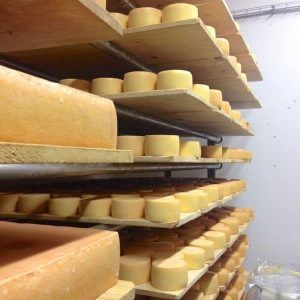 What are the Ideal Humidity Levels for Aging Hard Cheese? 10 swiss-cheese-aging-shelves