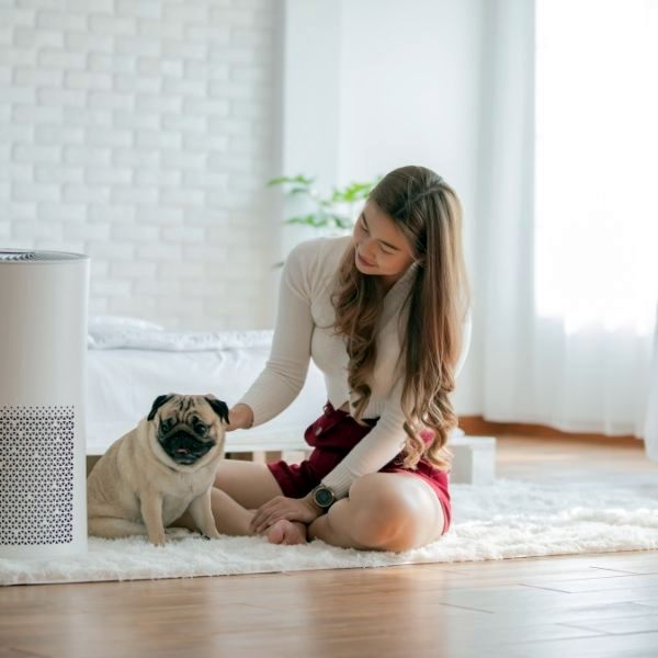 Improved Comfort: Dogs and Humidifiers 23 Pug-meets-humidifier