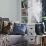 Humidifiers for Pets: Benefits, Risks and Best Practices