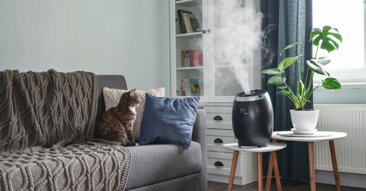 Humidifiers for Pets: Benefits, Risks and Best Practices