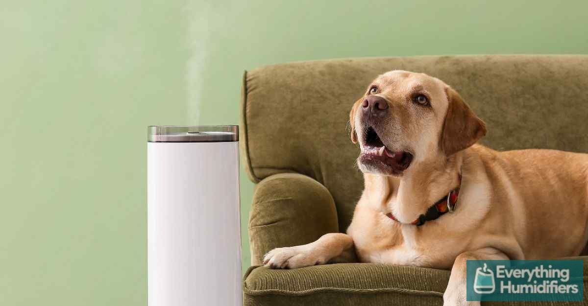8 Signs Your Dog may need a Humidifier