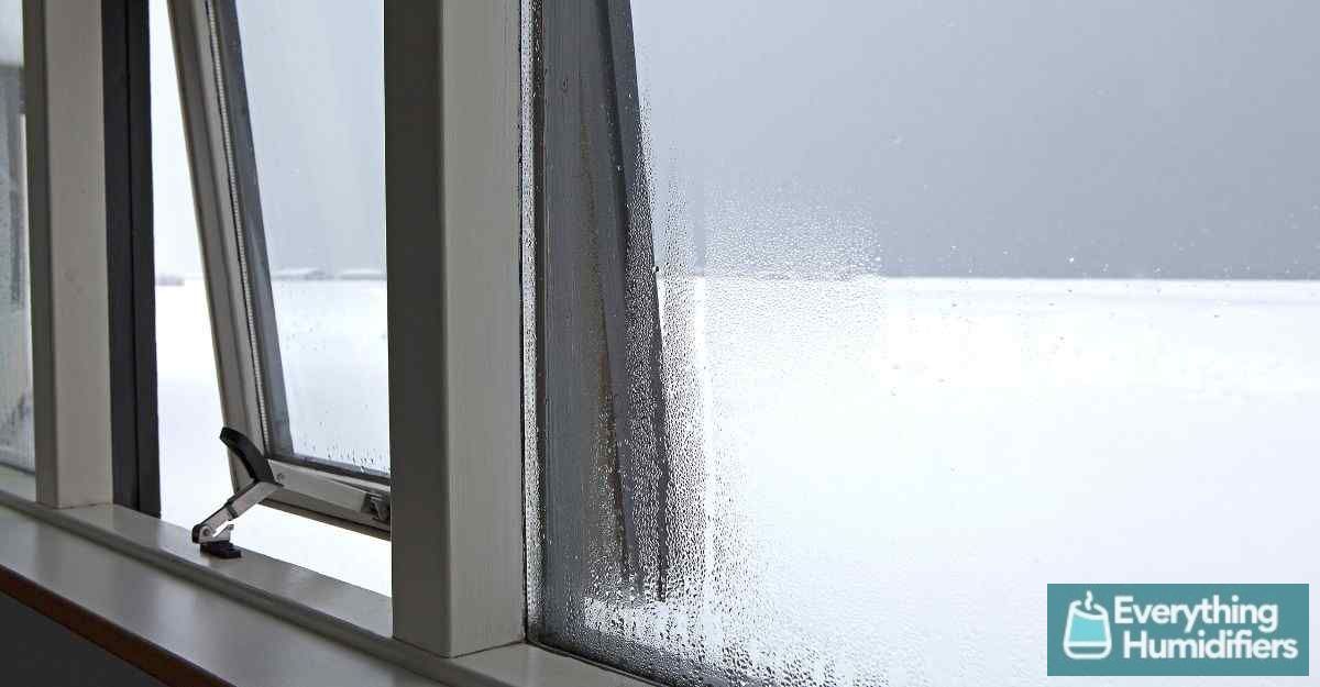 Will an Aquarium Increase Humidity? Does it affect your Fish? 11 condensation-ventilation