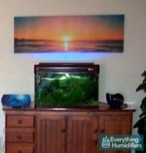 Will an Aquarium Increase Humidity? Does it affect your Fish? 12 our-small-aquarium